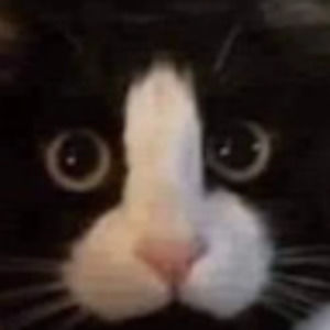 Meet your Posher, Dingle